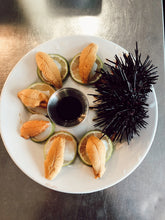 Load image into Gallery viewer, Red Sea Urchin